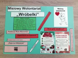 misiowy-wolontariat-wrobelkow-2019-3